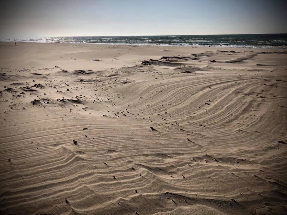 Plaża Ulinia - Wietrzny dzień - źródło Materiały SEAUSASINO