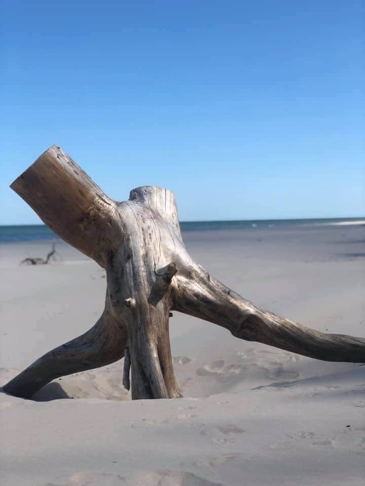 Plaża Stilo - źródło Materiały SEAUSASINO